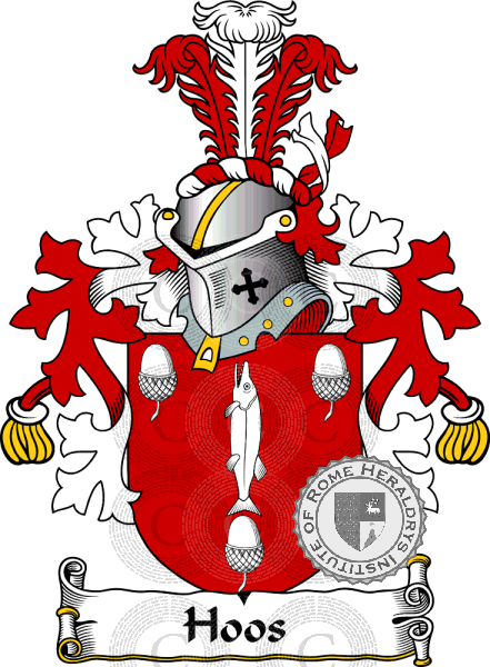 Wappen der Familie Hoos   ref: 38263