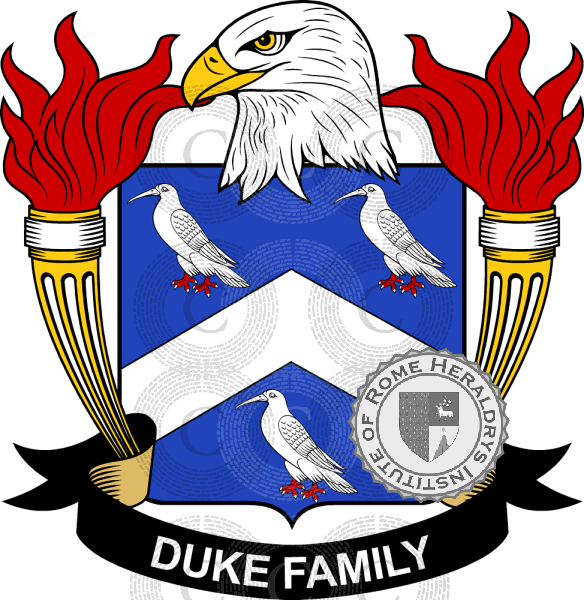 Coat of arms of family Duke   ref: 39325