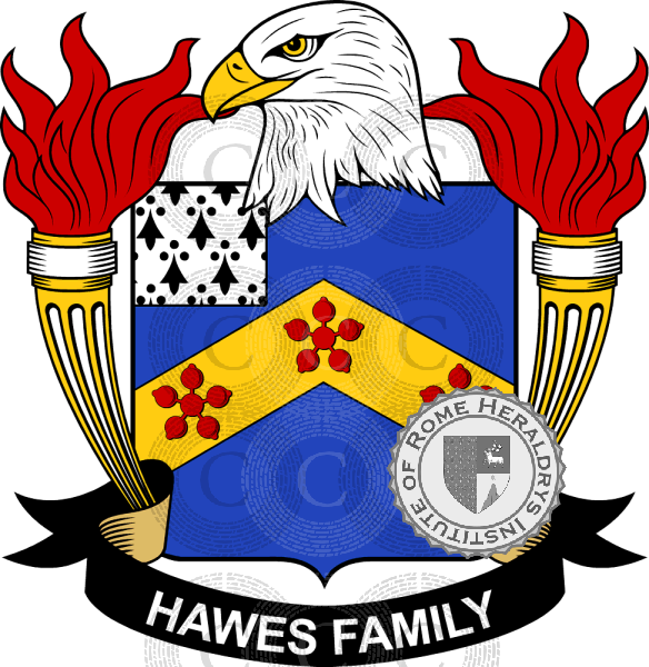 Stemma della famiglia Hawes   ref: 39538