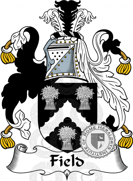 Coat of arms of family Field   ref: 54779